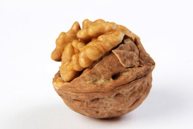 taze ceviz kabuğundaki beyaz bir arka plan üzerinde