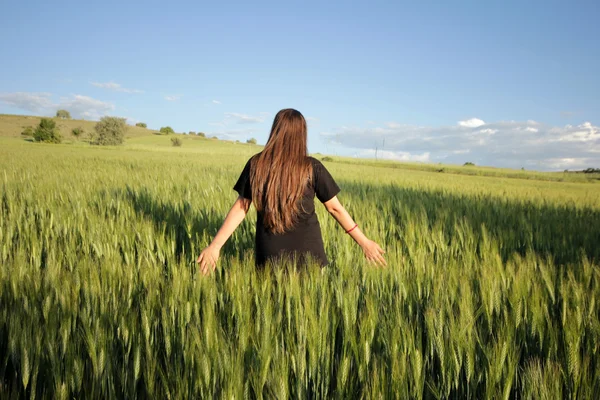 No campo de trigo — Fotografia de Stock