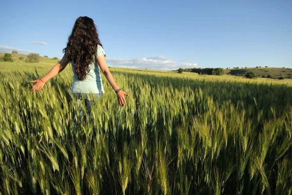 На пшеничном поле — стоковое фото