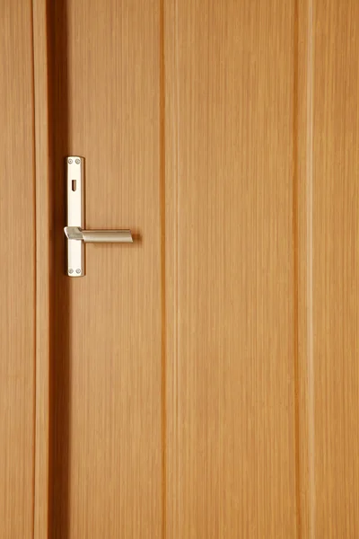 Modern and new American panel wooden door — Stock Photo, Image