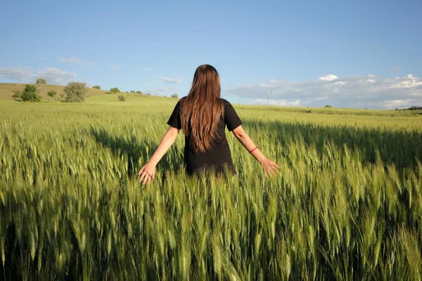 En el campo de trigo — Foto de Stock