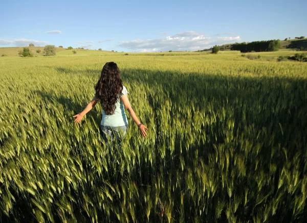 На пшеничном поле — стоковое фото