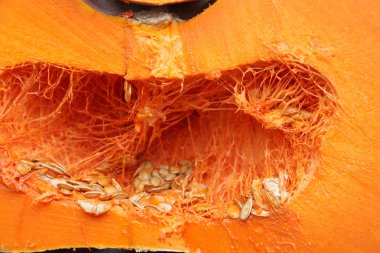 büyük organik ve lezzetli kabak