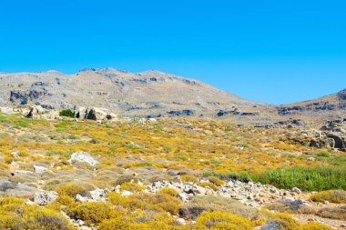 Rodos adasındaki dağ ve kayalarla kaplı vadi manzarası