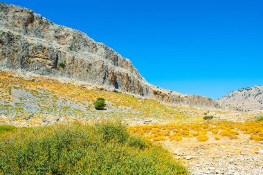 Rodos adasındaki dağ ve kayalarla kaplı vadi manzarası