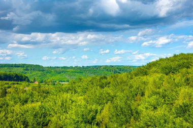 Güzel kırsal alan tepelerdeki yeşil ağaçlar