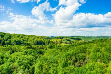 Güzel kırsal alan tepelerdeki yeşil ağaçlar