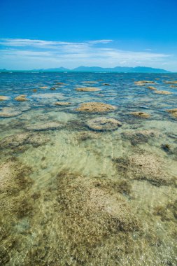 Koh Samui Adası, Tayland 'ın yeşil kayalık kıyılarının güzel tropikal manzarası