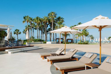 Limasol, Kıbrıs - 19 Mayıs 2021: Lüks modern otelin havuz alanı, palmiye ağaçları ve tropikal bitkilerin gölgesinde güneşli yataklar