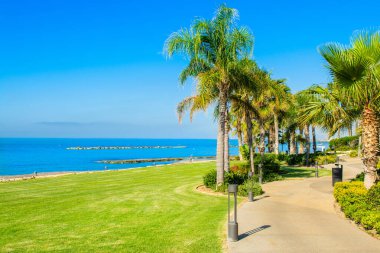Limasol, Kıbrıs - 16 Mayıs 2021: Kıbrıs Rum Kesimi 'nin Akdeniz kıyısındaki güzel bir park, palmiye ağaçları ve tropikal bitkilerle gündoğumu sahili