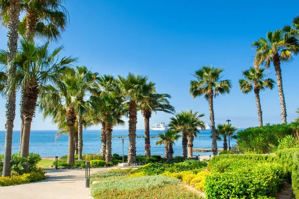 Kıbrıs adasındaki Akdeniz kıyısında gündoğumu plaj manzarası 