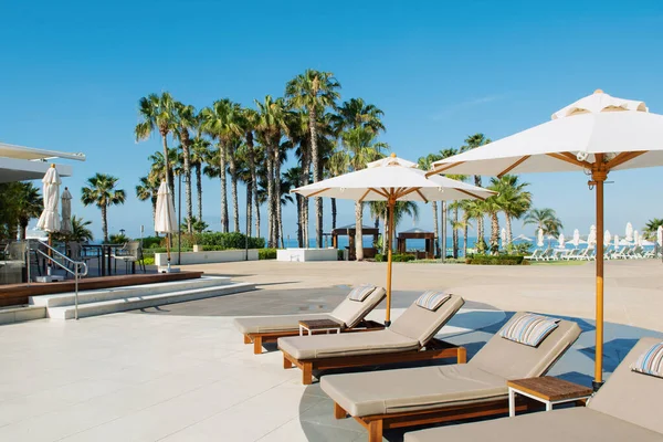 Limasol, Kıbrıs - 19 Mayıs 2021: Lüks modern otelin havuz alanı, palmiye ağaçları ve tropikal bitkilerin gölgesinde güneşli yataklar