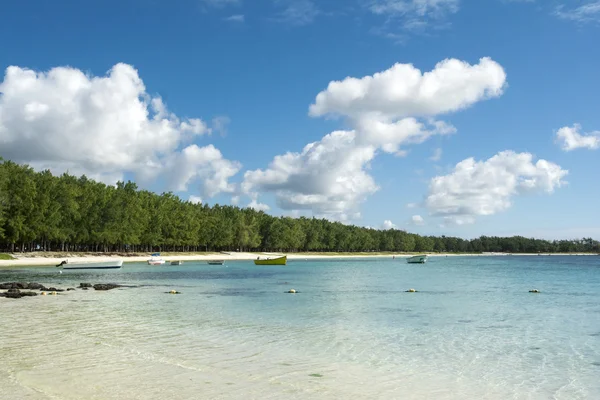 Belle Mare kıyı şeridi, Mauritius — Stok fotoğraf