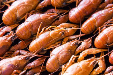 Birçok haşlanmış crawfishes