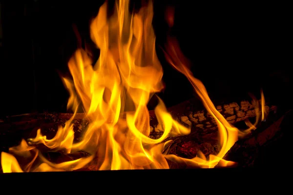 Red fire flame on black background — Stock Photo, Image