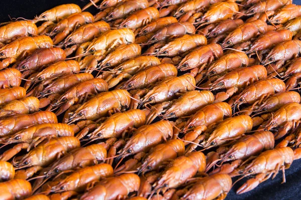 Foto van vele crawfishes — Stockfoto