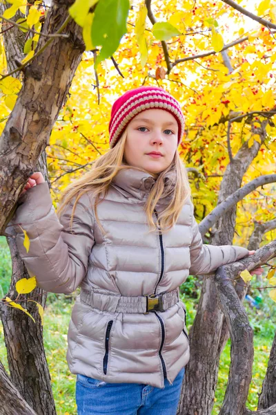 Leuk meisje in herfst zitten op boom — Stockfoto