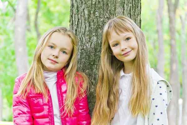 Draguta două fete — Fotografie, imagine de stoc