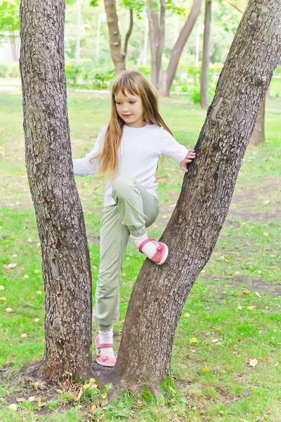 Ragazza carina in estate sedersi su un albero — Foto Stock