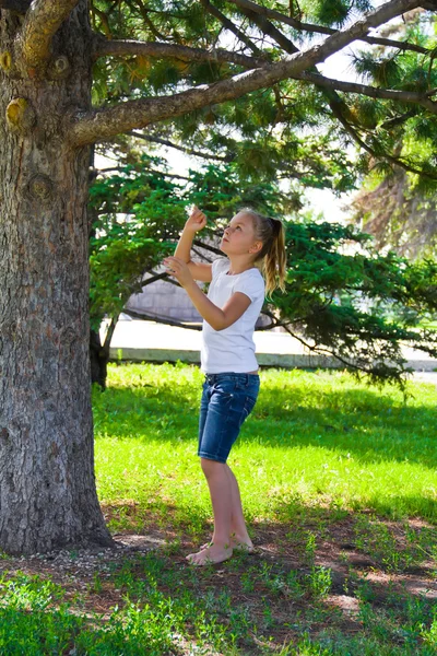 Kız yaz aylarında deneyin ağaç üzerinde atlamak için — Stok fotoğraf