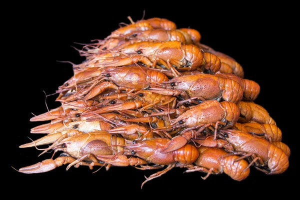 Många crawfishes — Stockfoto