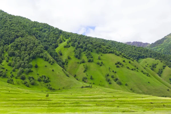 Kavkaz zelené hory — Stock fotografie