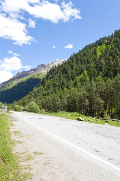 Caucaso montagne verdi — Foto Stock