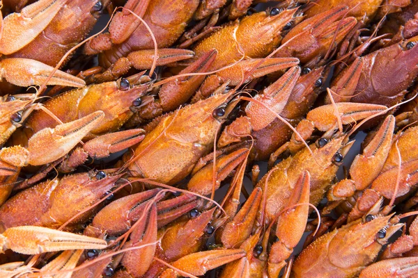 Veel gekookte crawfishes — Stockfoto