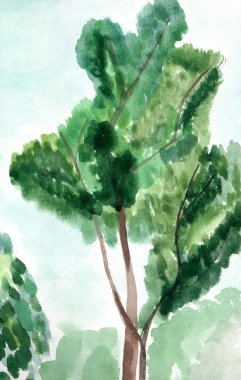 Suluboya resim ağaç