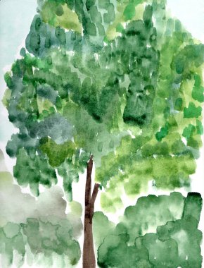 Suluboya resim ağaç