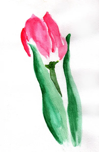 Watercolor flower — Stock Photo, Image