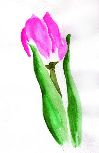 Watercolor flower — Stock Photo, Image