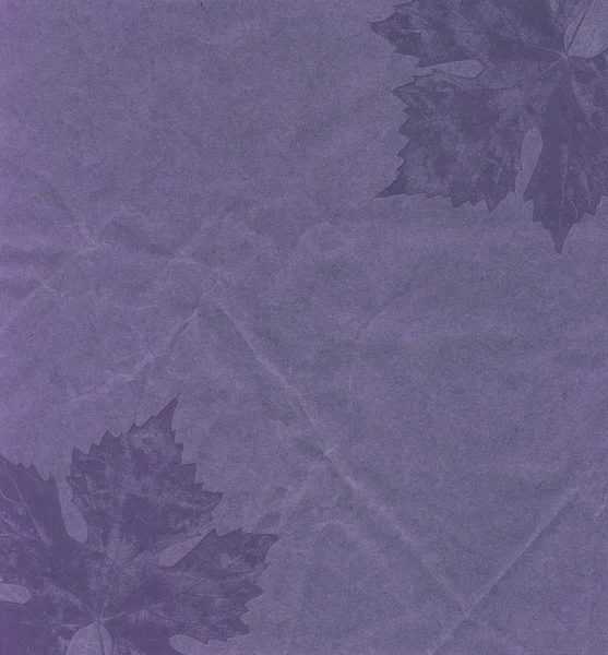 Mavi kağıt arka plan yaprak ile — Stok fotoğraf