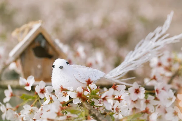 Kleiner Vogel und Vogelhaus — Stockfoto