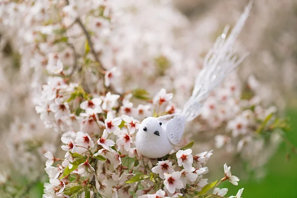 Little bird  in Spring — Stock Photo, Image