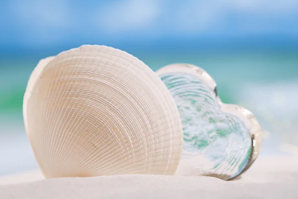 Witte Zee shell met hart glas — Stockfoto