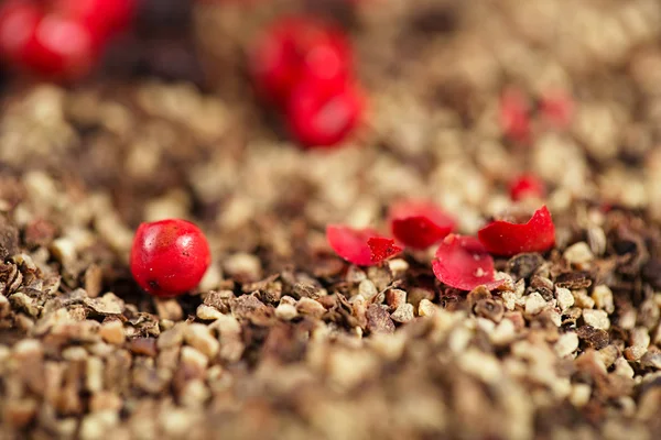 Granos de pimienta negra y roja — Foto de Stock