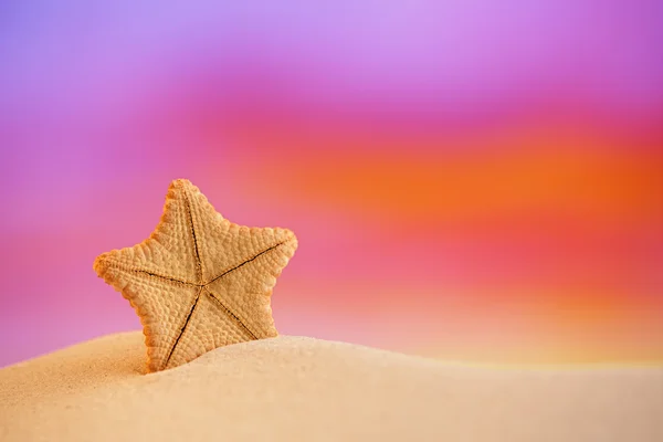 Deepwater rare starfish with ocean — Stock Photo, Image