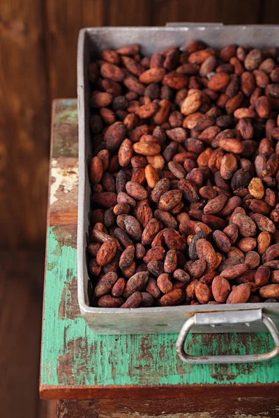 Gebrande chocolade stukjes cacaobonen — Stockfoto