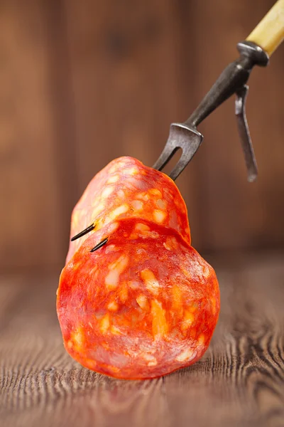 Slice of sausage chorizo — Stock Photo, Image