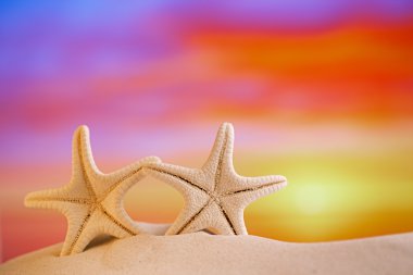 White starfish with sunrise sky clipart