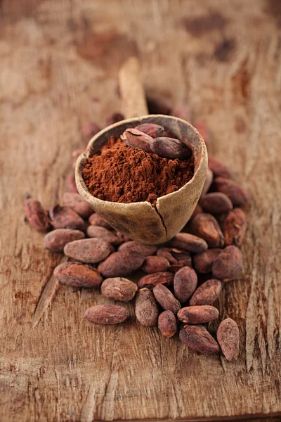 Cocoa powder in spoon — Stock Photo, Image