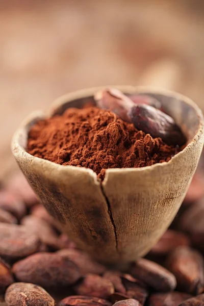 Cocoa powder in spoon — Stock Photo, Image