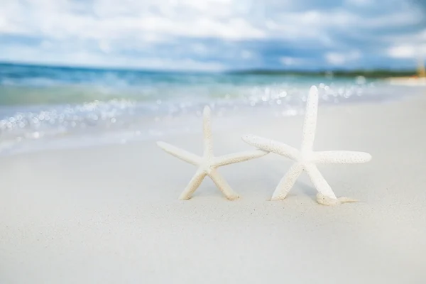 Estrella de mar blanca en la playa de arena blanca — Foto de Stock