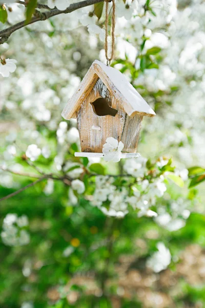 Bonita casa de passarinho — Fotografia de Stock