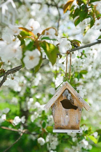 Nice Little Birdhouse — Stock Photo, Image