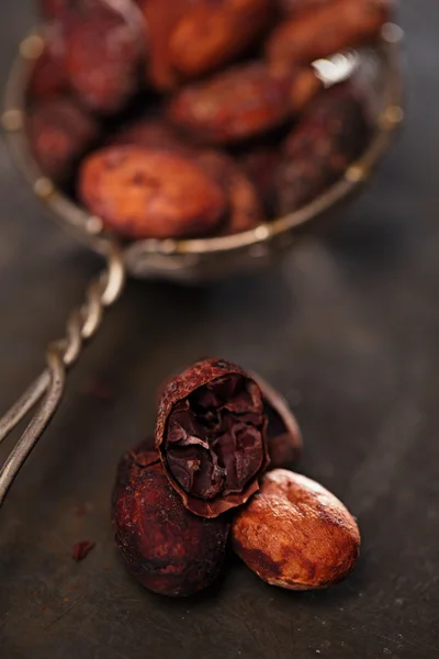 Roasted cocoa chocolate beans — Stock Photo, Image