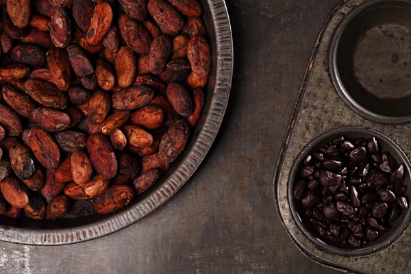 Roasted cocoa chocolate beans — Stock Photo, Image