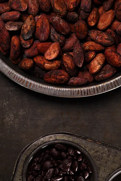 Roasted cocoa chocolate beans — Stock Photo, Image