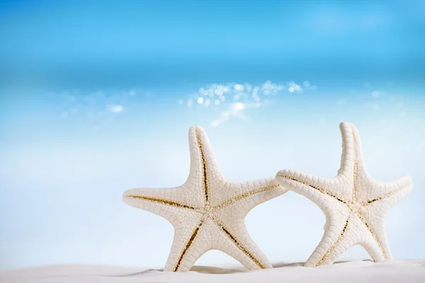 Estrella de mar blanca con océano — Foto de Stock